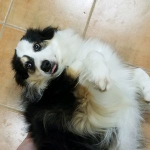 Meet your Posher, Elena